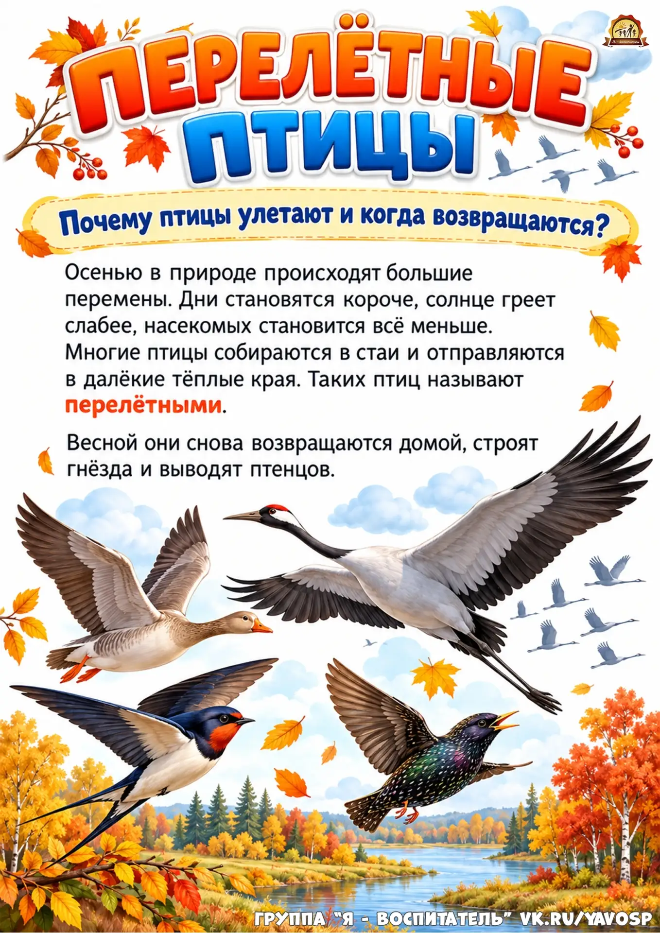 Передвижка «Перелётные птицы»