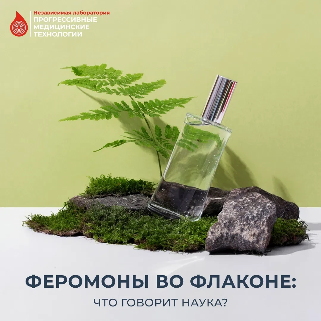 🧪 Химическая коммуникация является древнейшим и самым распространенным способом общени...