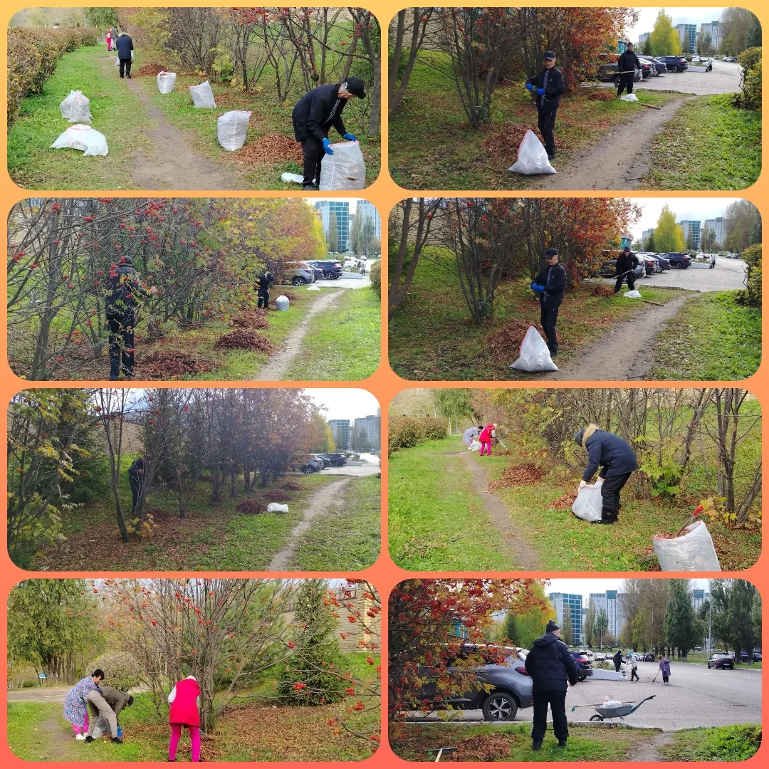 🧹🍂Вместе навели порядок🧹🍁