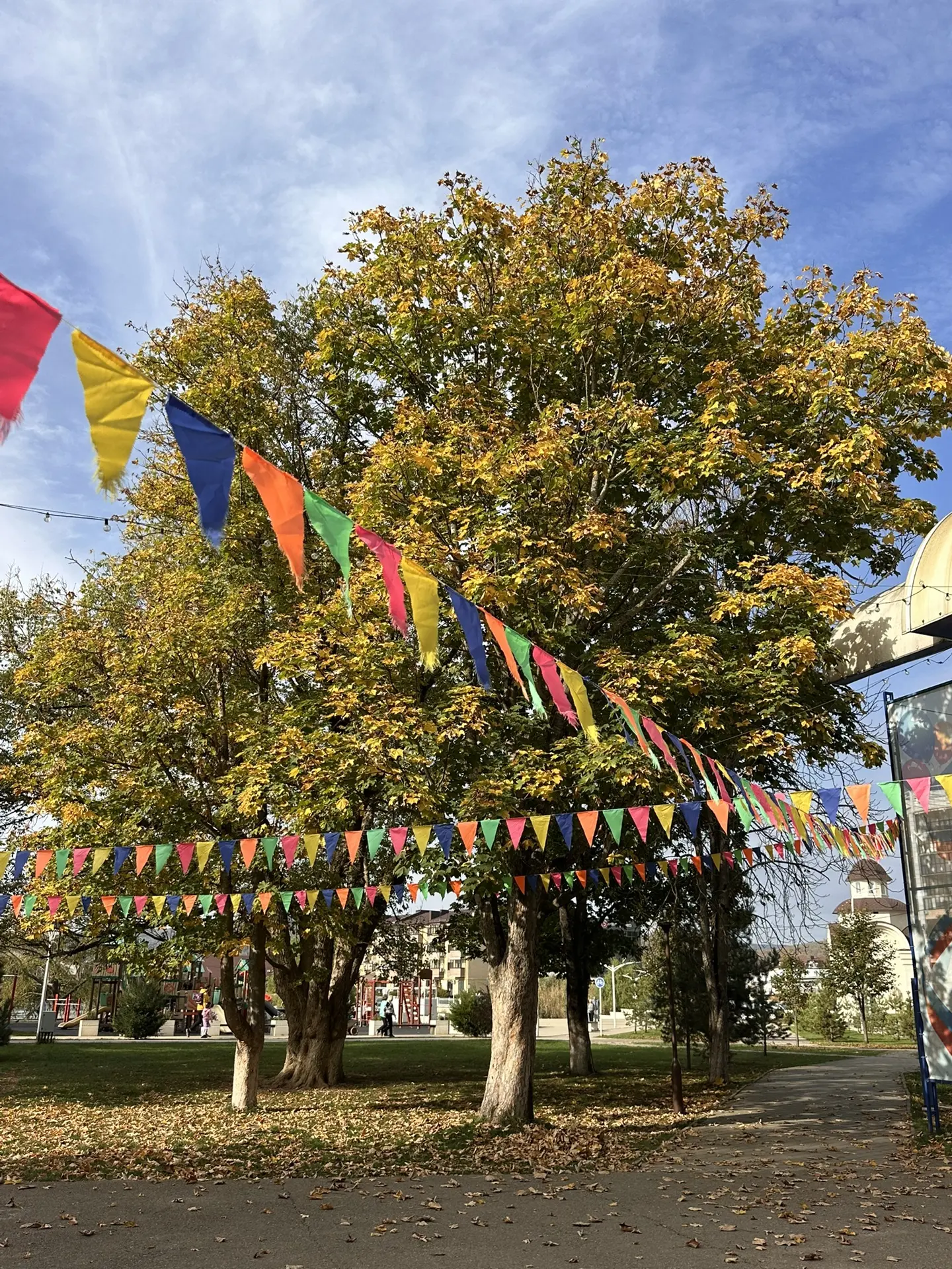 Золотая осень в парке 🍂