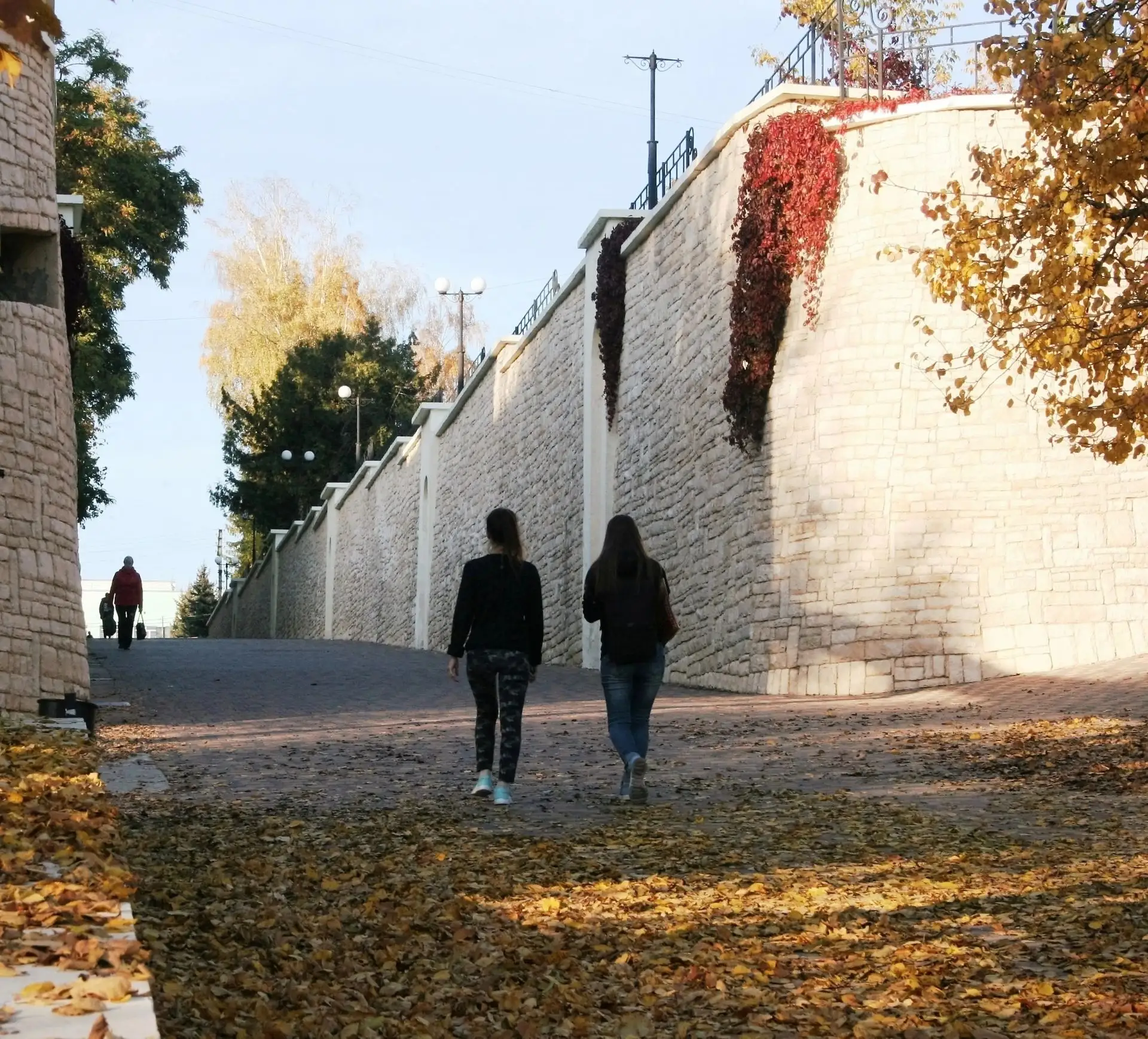 Красиво у нас в Липецкой области! Осень в Задонском районе🍁🍂