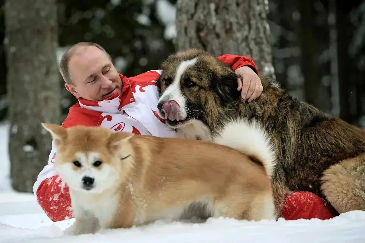 Дорогие друзья!