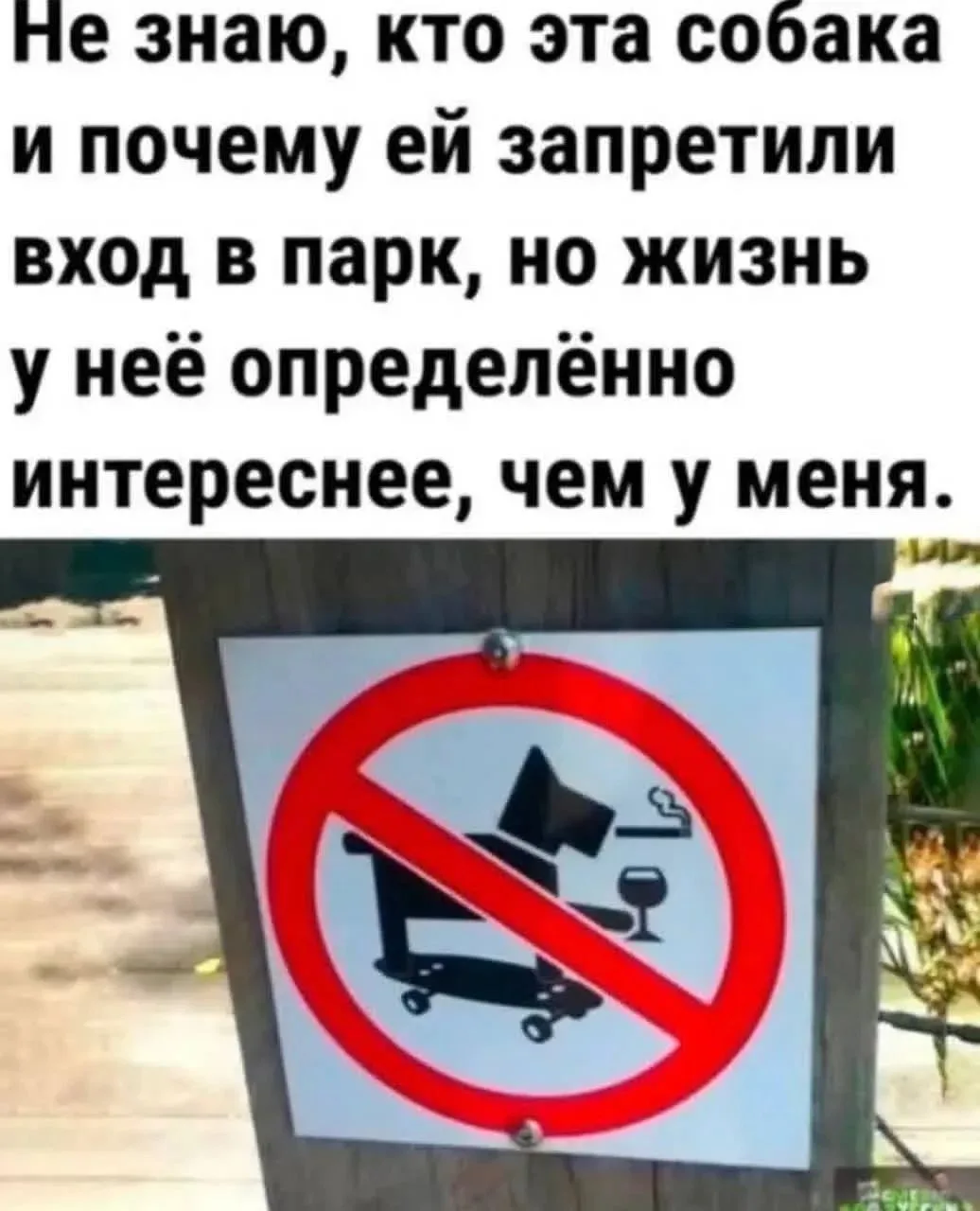Погнали делать жизнь интереснее!