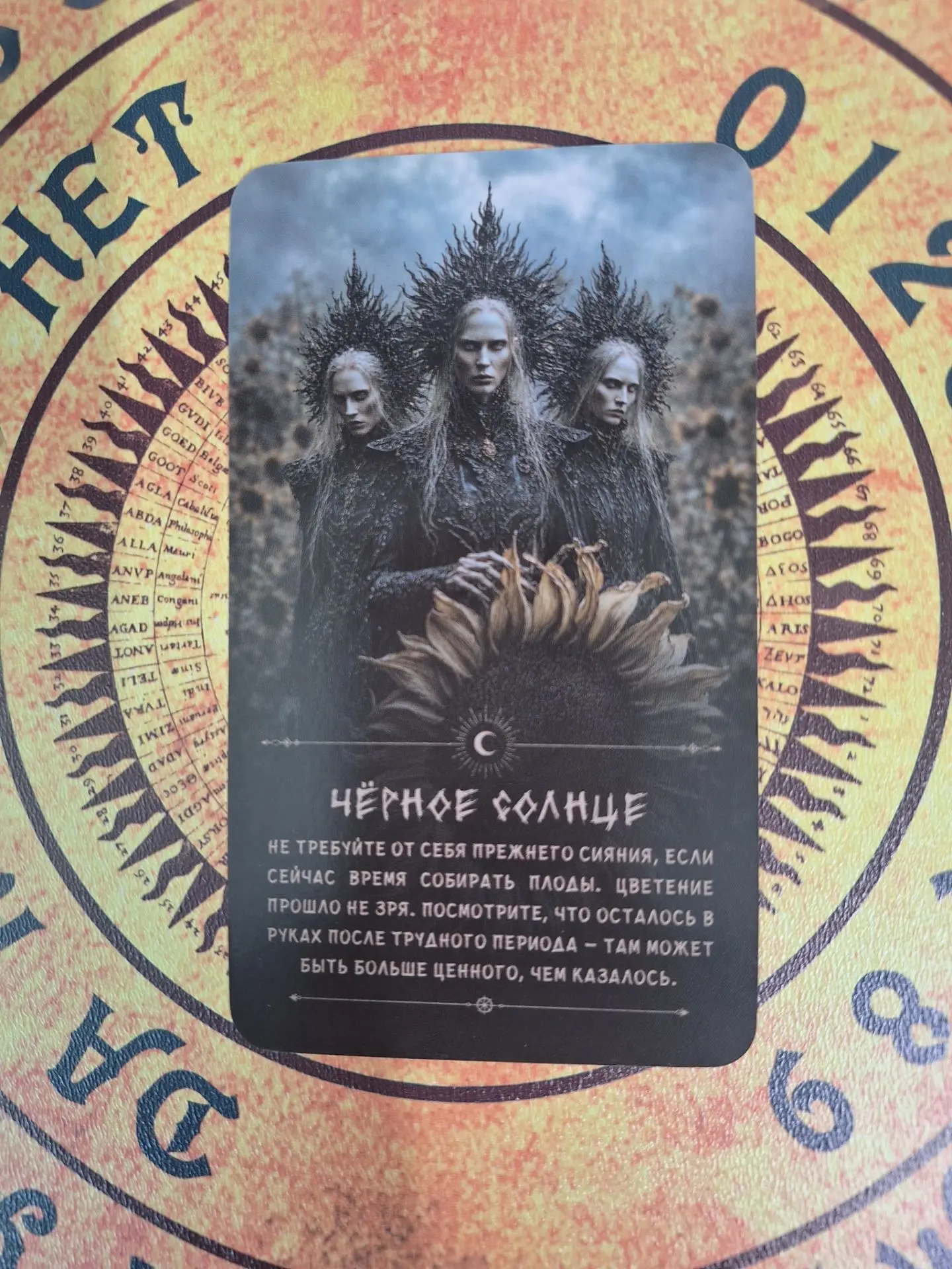Карта Дня✨...