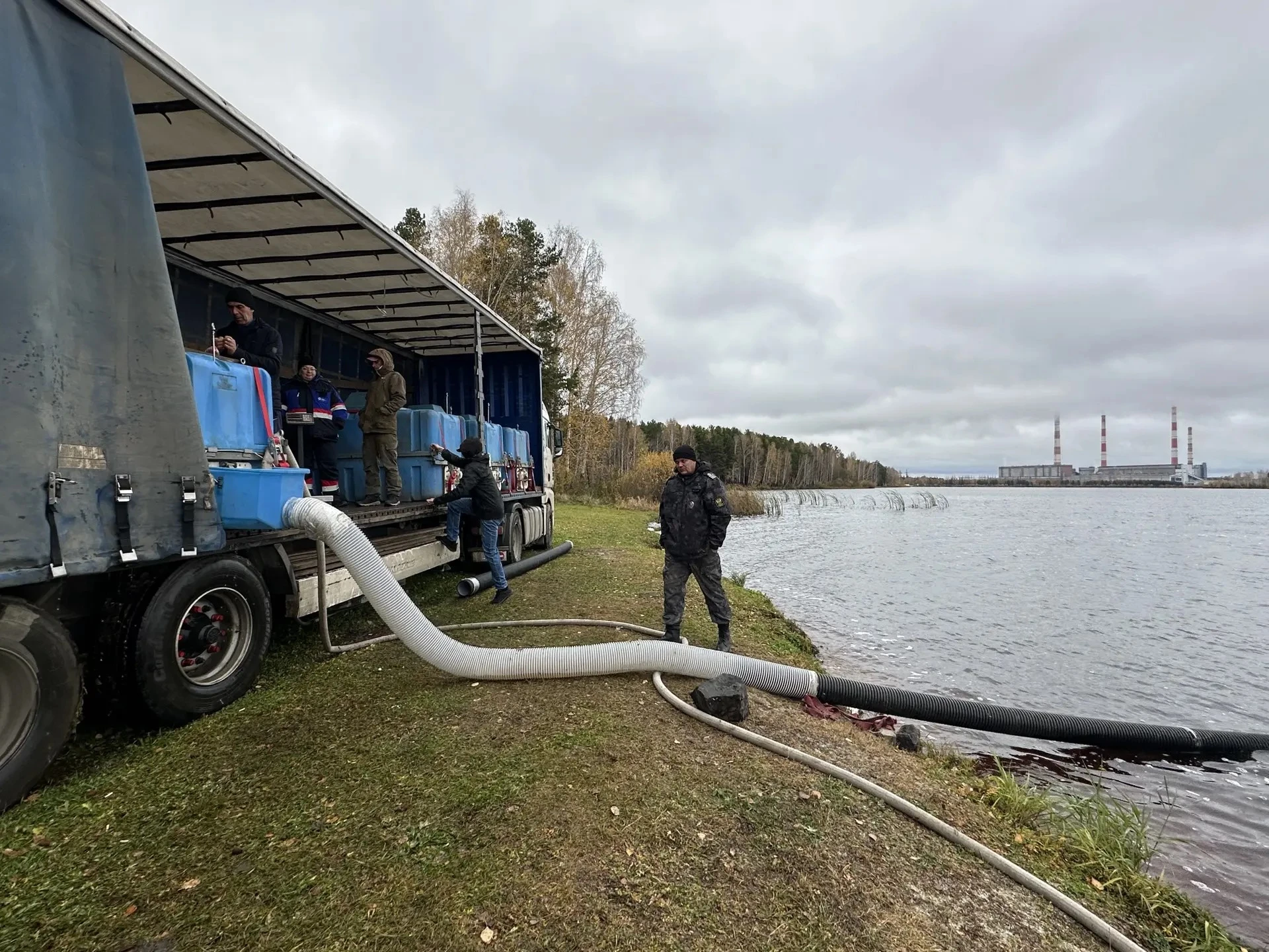 Рефтинская ГРЭС продолжает зарыбление местного водохранилища