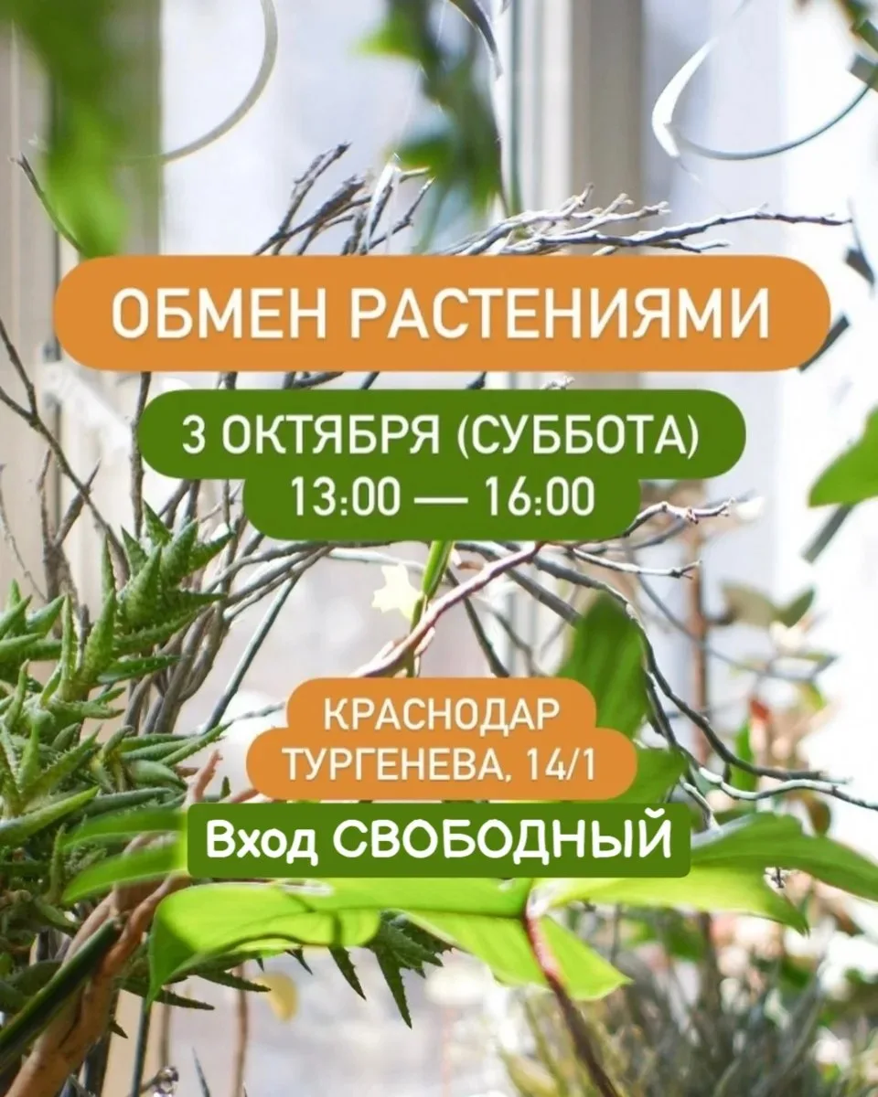 3 октября