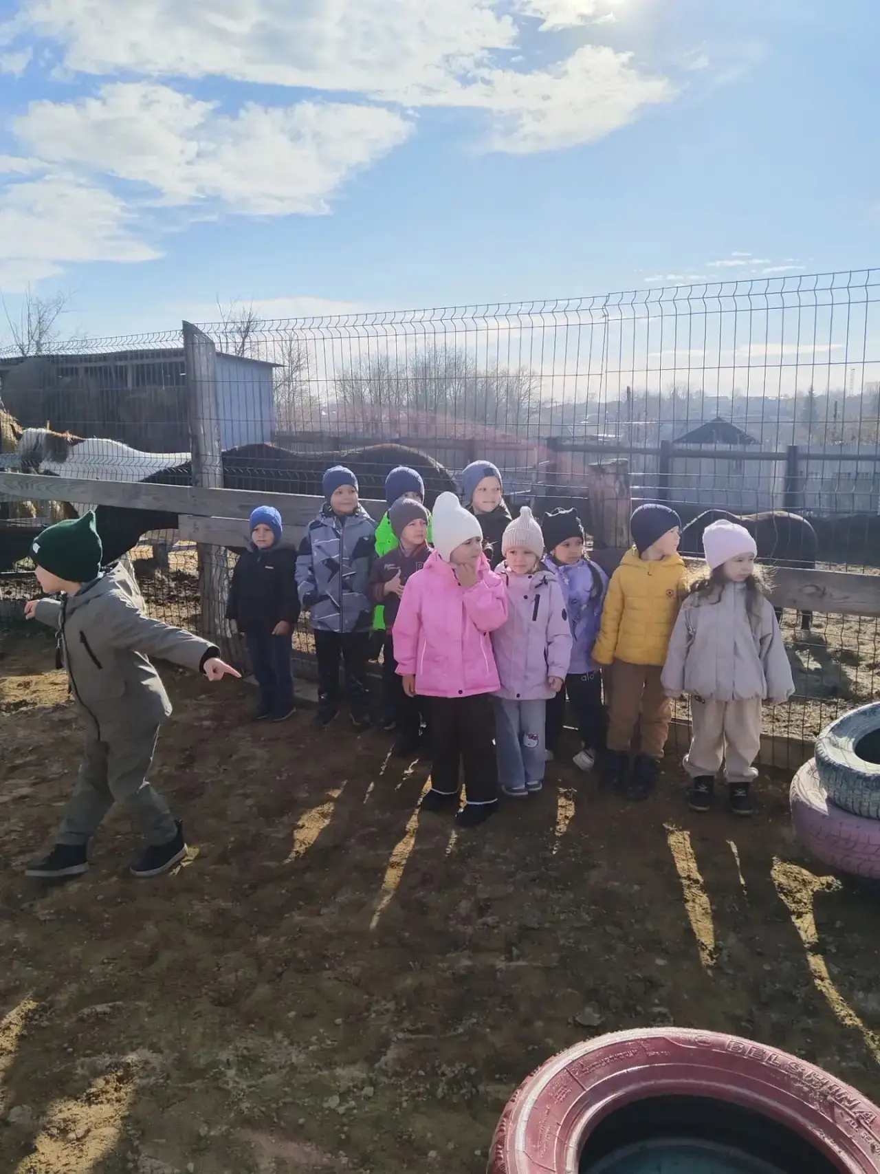 В нашем детском саду прошла благотворительная акция "Покорми животное".