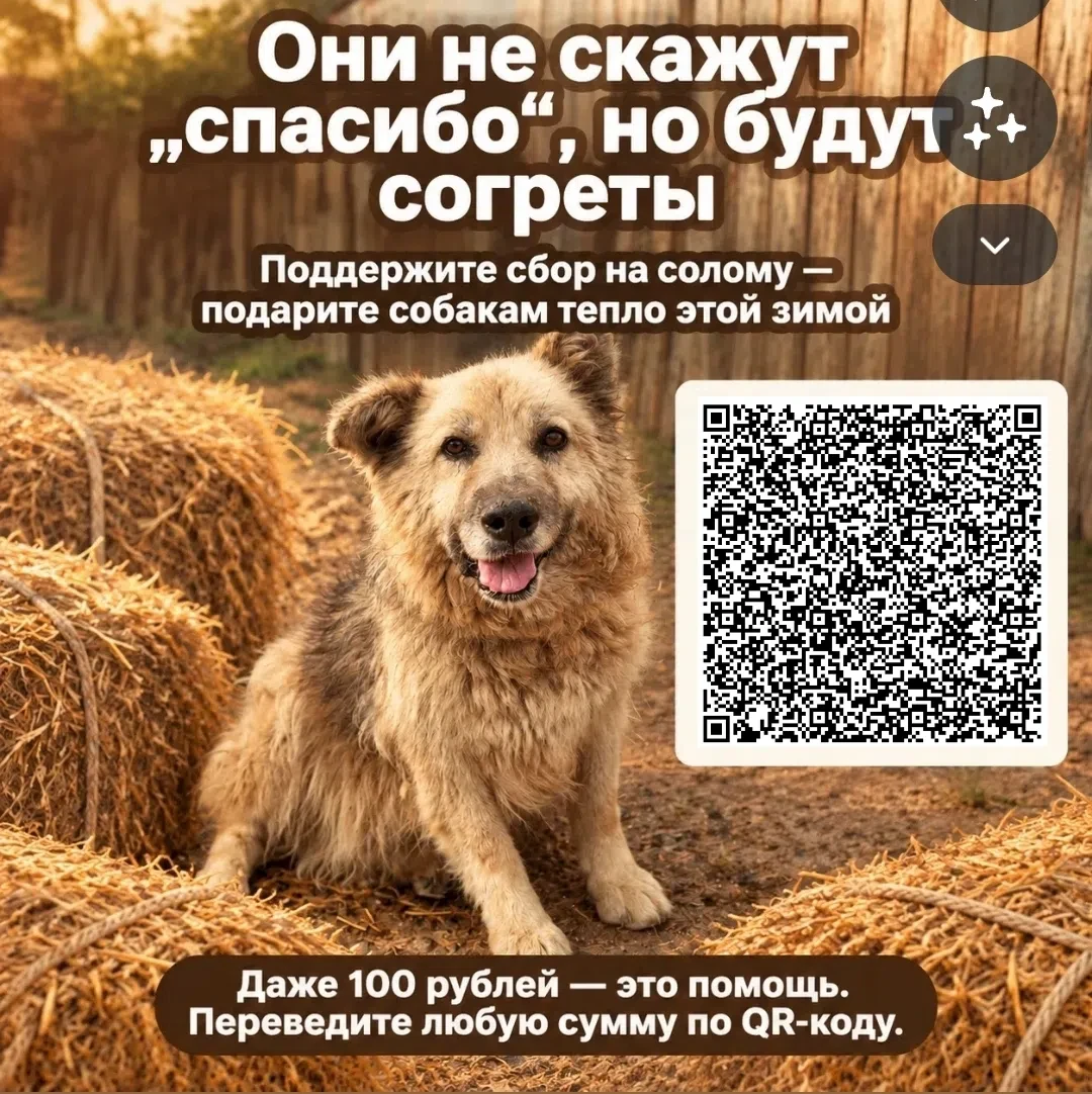 Холода близко, а у нас уже закончилась солома! ❄️