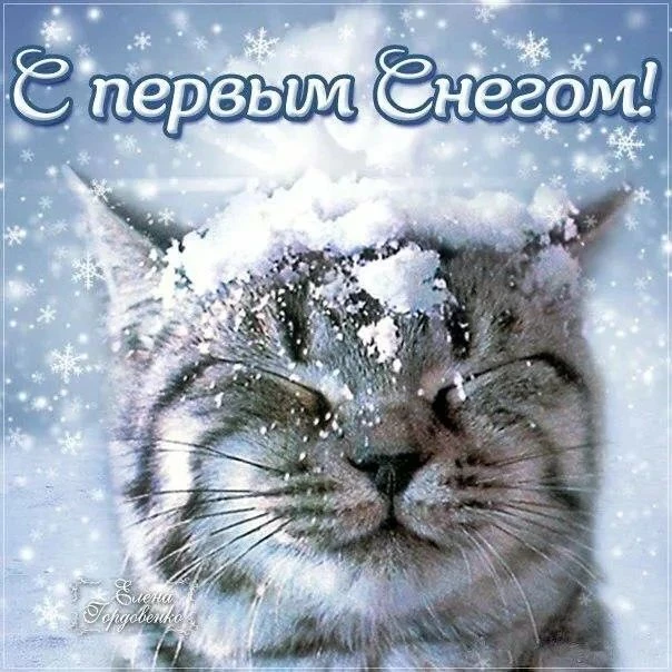 https://max.ru/channel_kartinka_advice