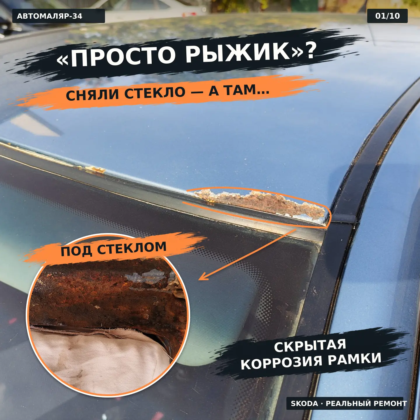 🔎 ДУМАЛИ, РЫЖИК ЖИВЁТ ТОЛЬКО СНАРУЖИ? У ЭТОЙ SKODA ОН УЖЕ ОСВОИЛ МЕСТО ПОД СТЕКЛОМ.
