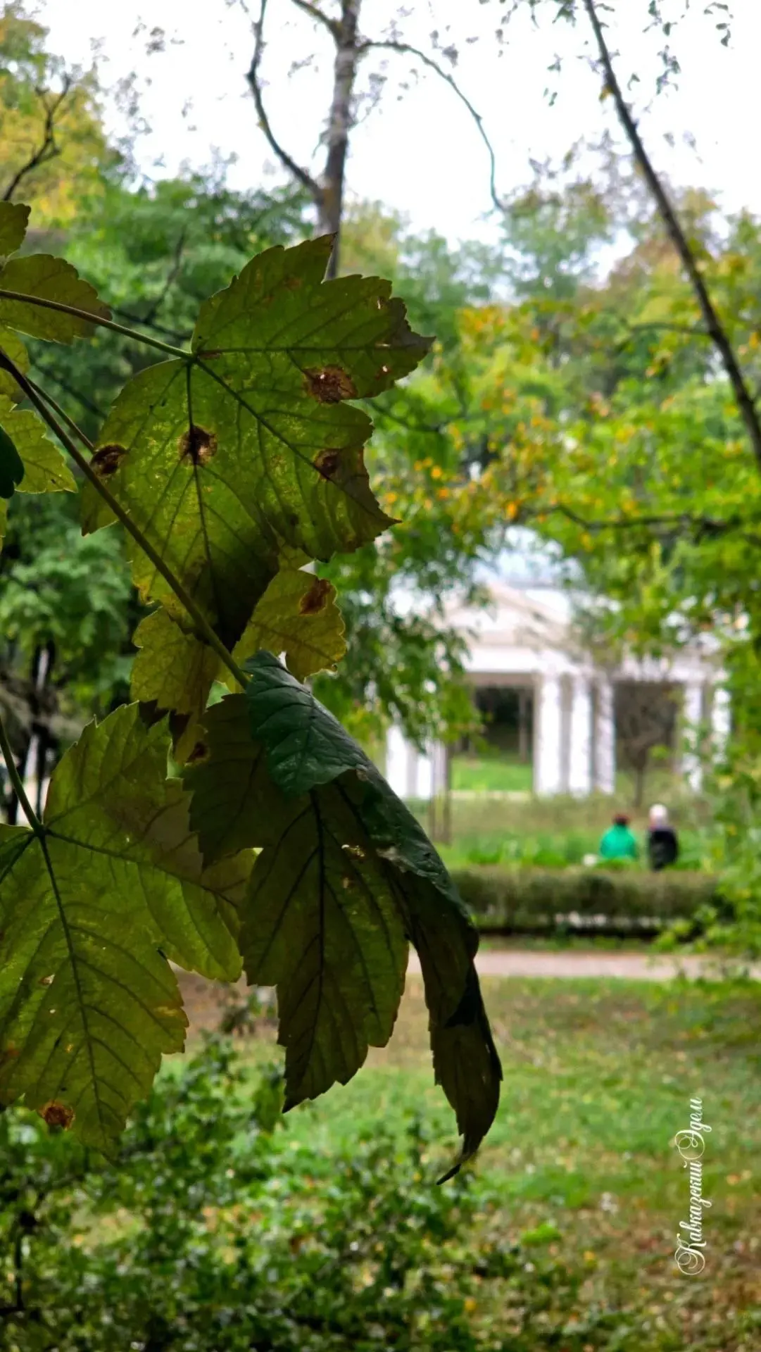 Осень в Ессентуках