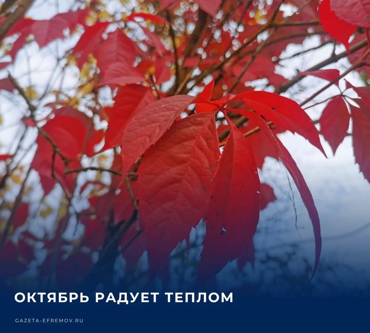 ☀️ Сегодня в Ефремове облачно с прояснениями, температура воздуха составит +11… +17 °С.​