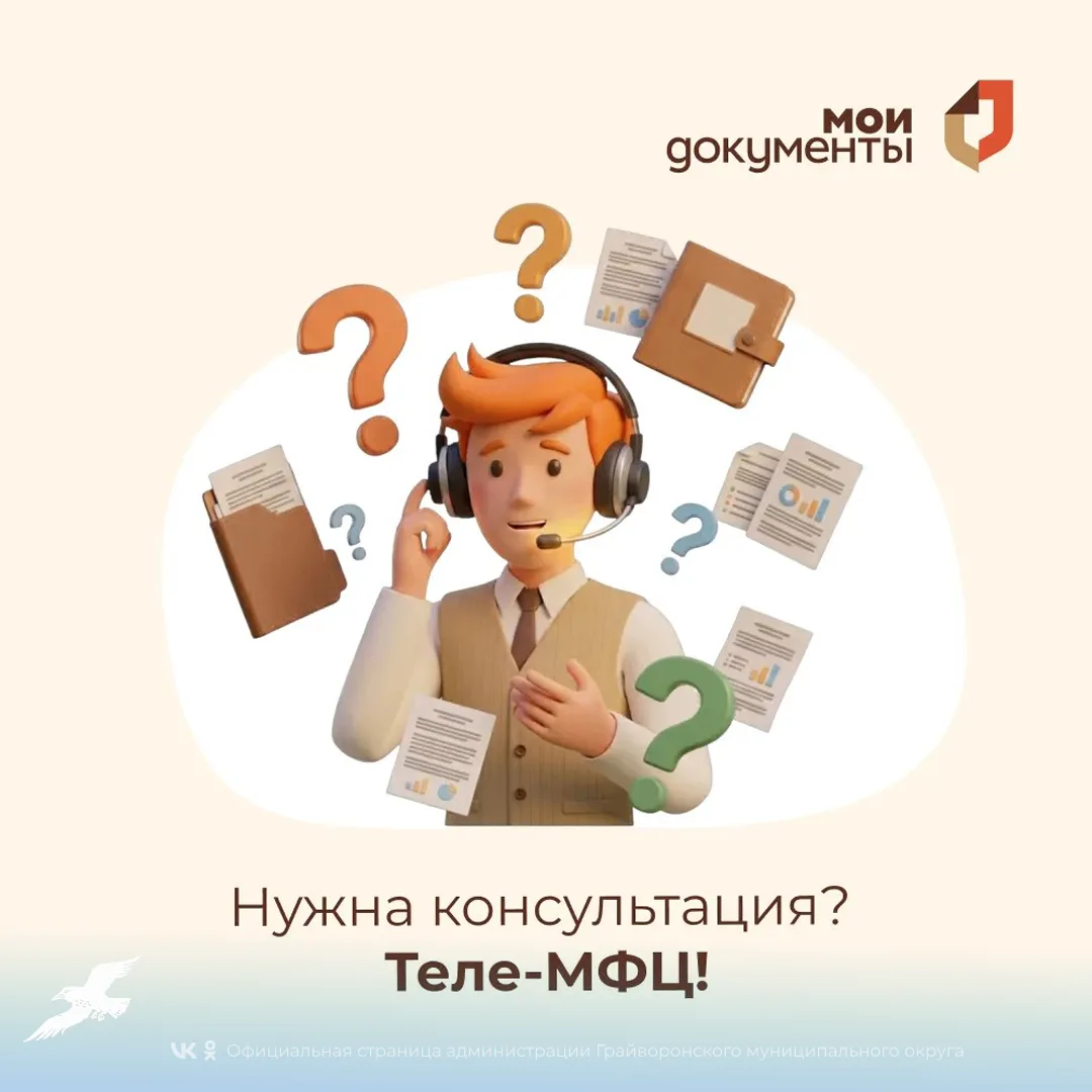 Жители региона могут воспользоваться новым сервисом «Теле-МФЦ»