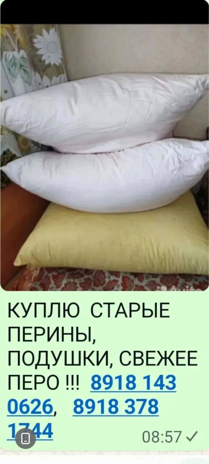 (без текста)