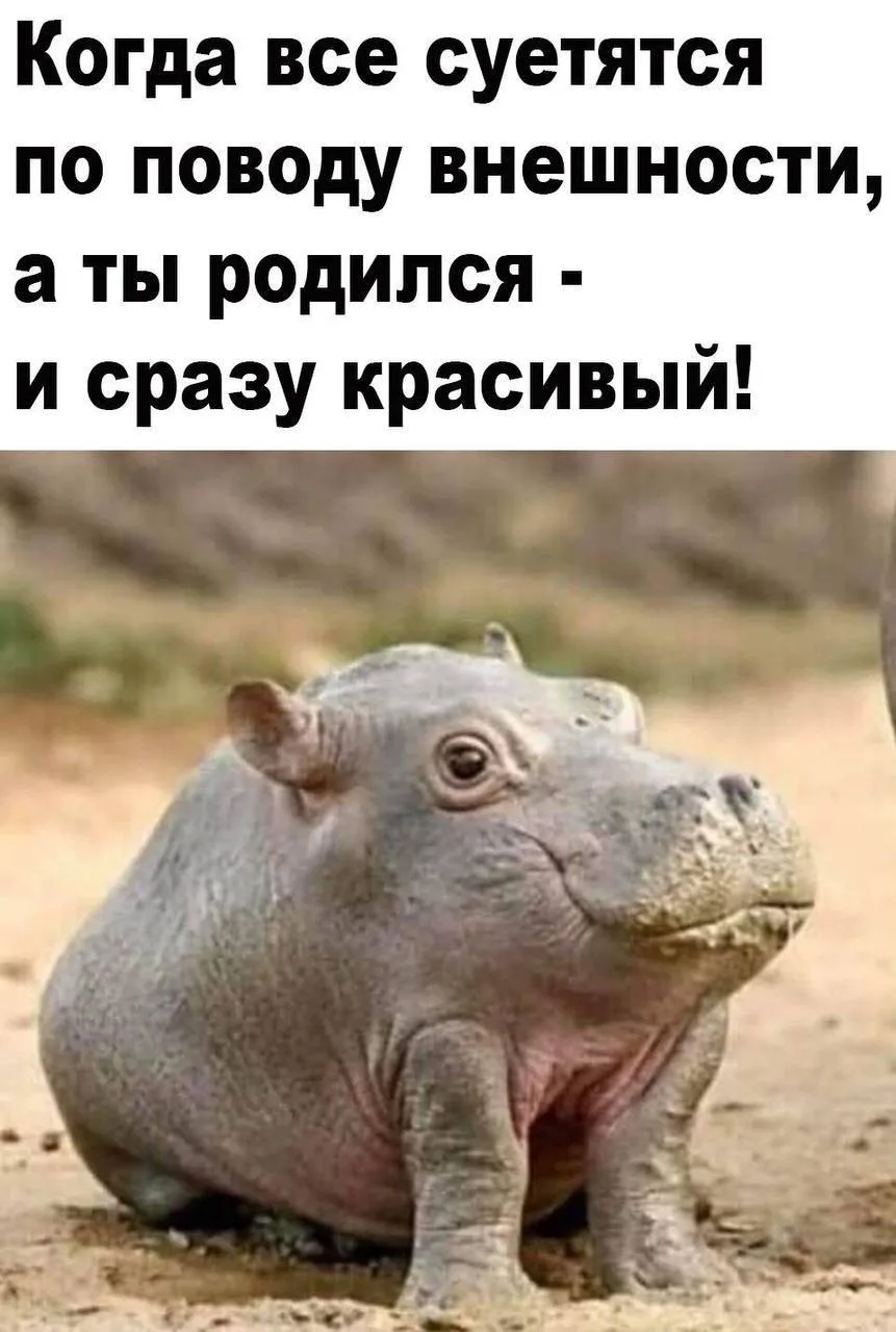 😃Картинки для настроения|👉 Подписаться
