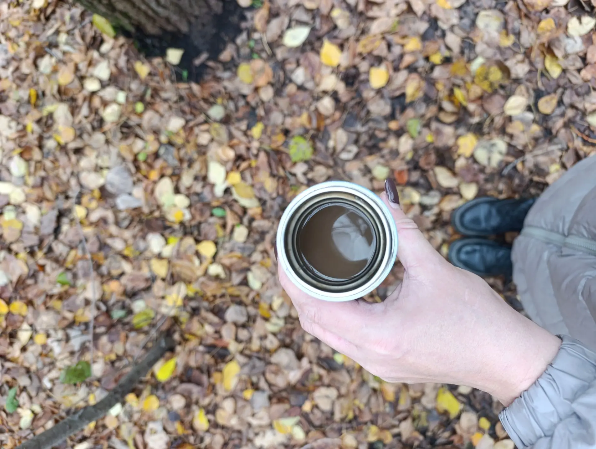Собрать мысли в кучу, попить кофе, погулять, идеальное место 🌲🌳