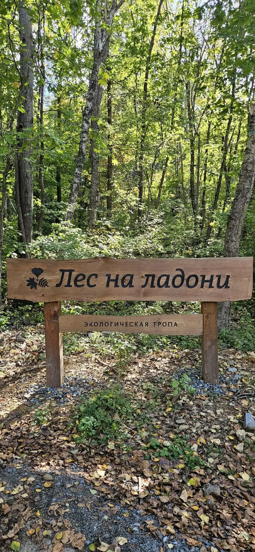 #Владивосток