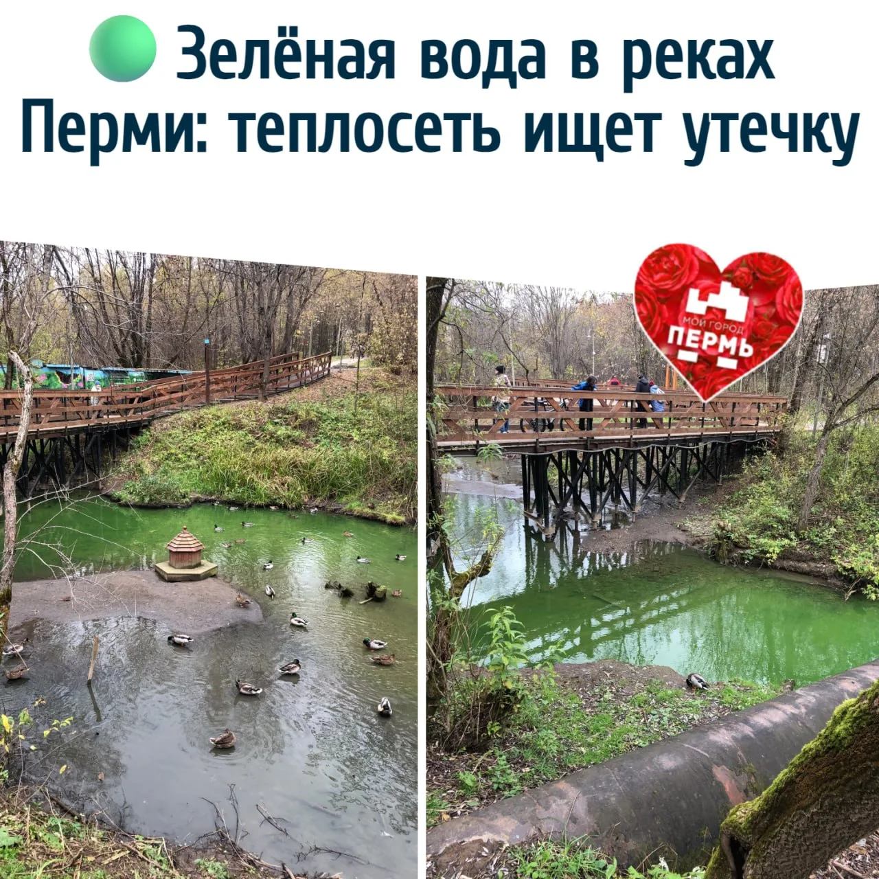 🟢 Зелёная вода в реках Перми: теплосеть ищет утечку