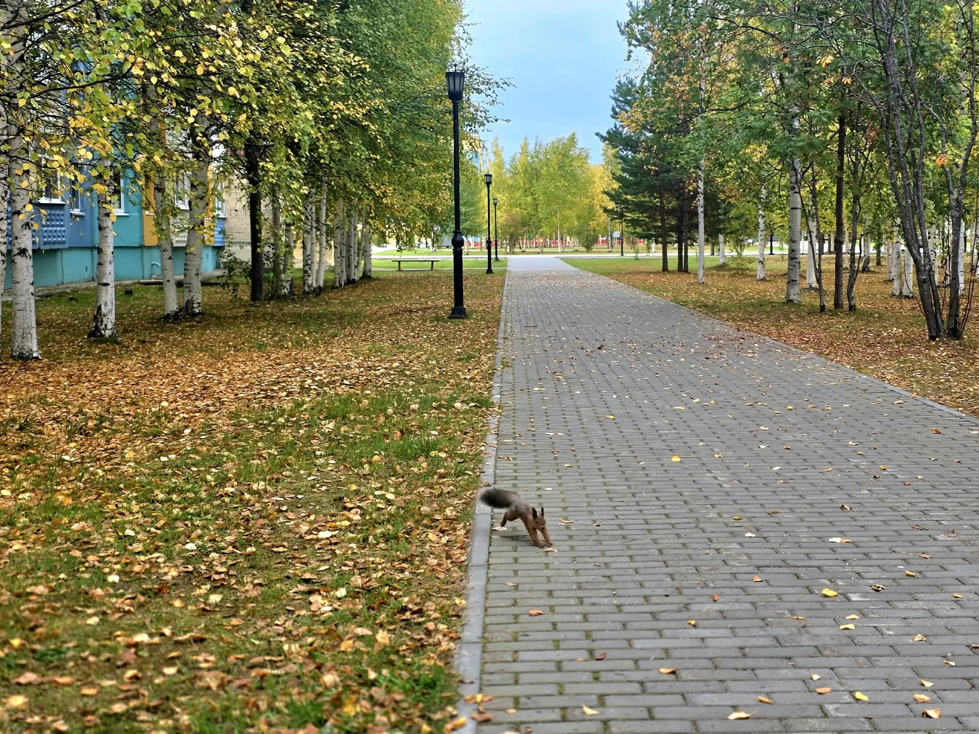 Доброго дня! ☀