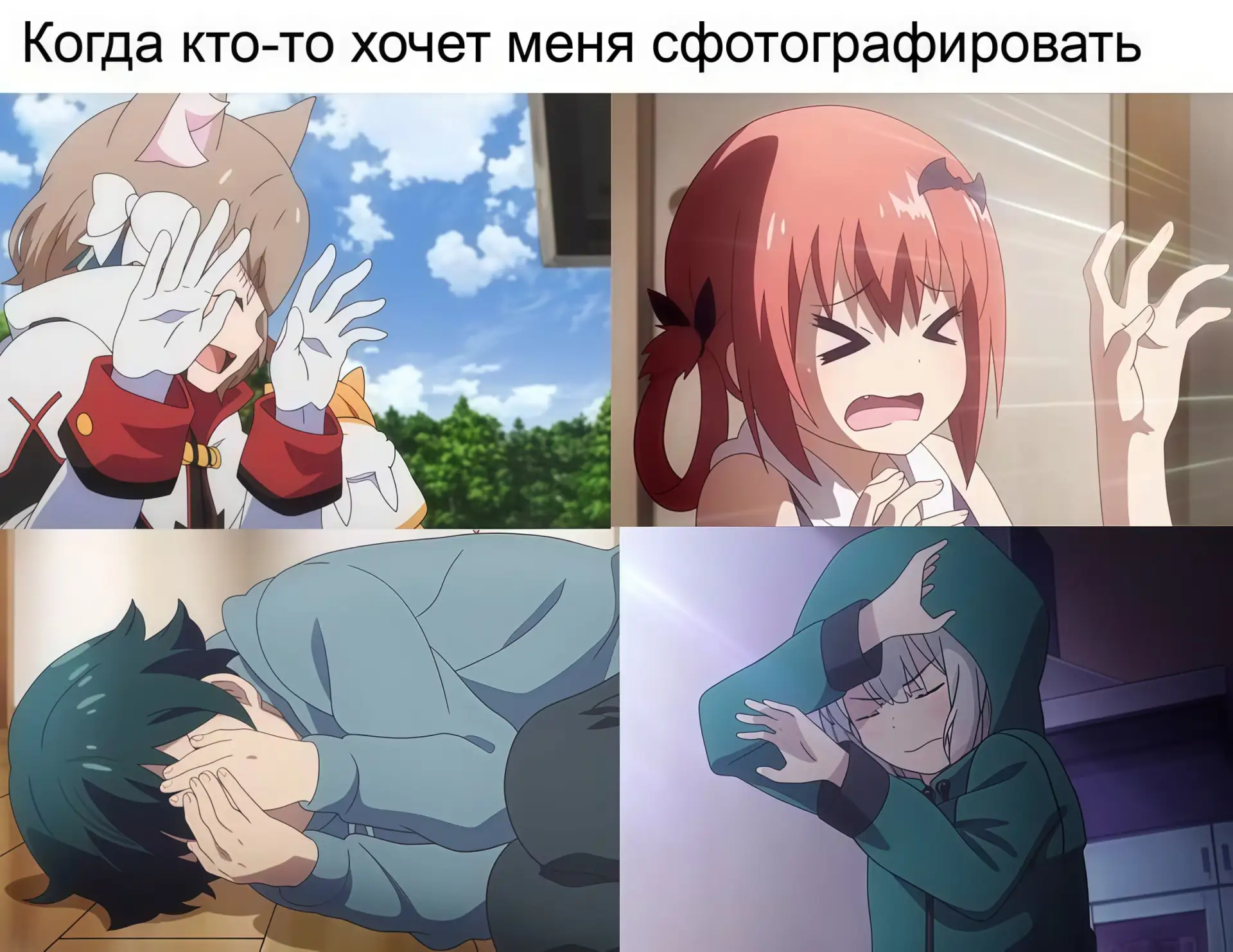 🔘 наши проекты