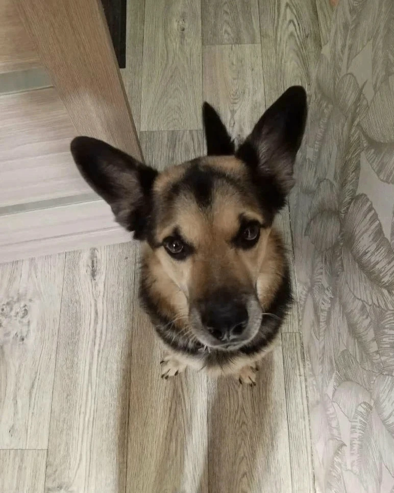 ДЖОКЕР, КОТОРЫЙ ВОЗВРАЩАЕТСЯ