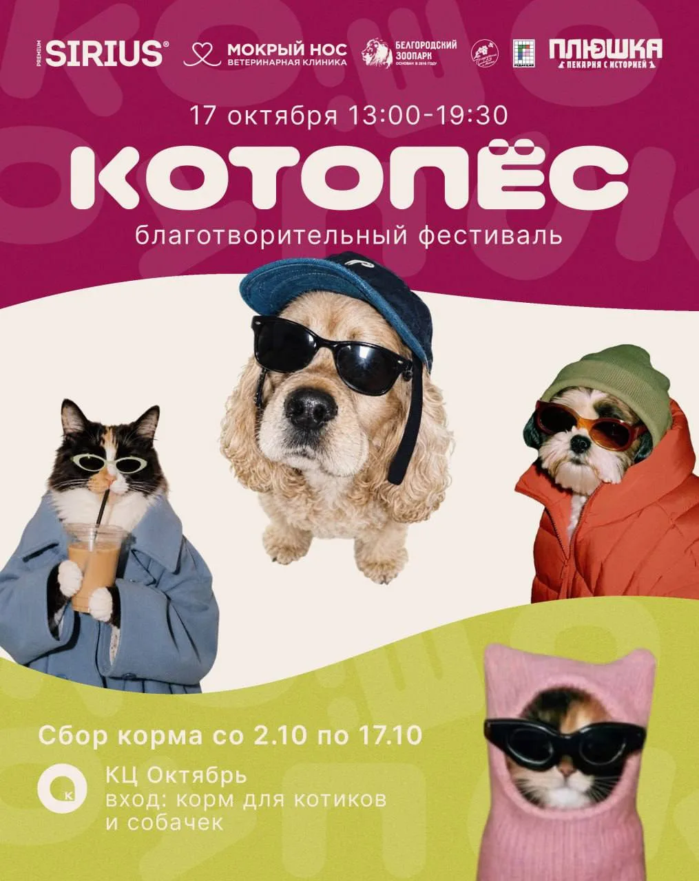 Благотворительный фестиваль «Котопёс» пройдёт в «Октябре» в эту субботу 😻