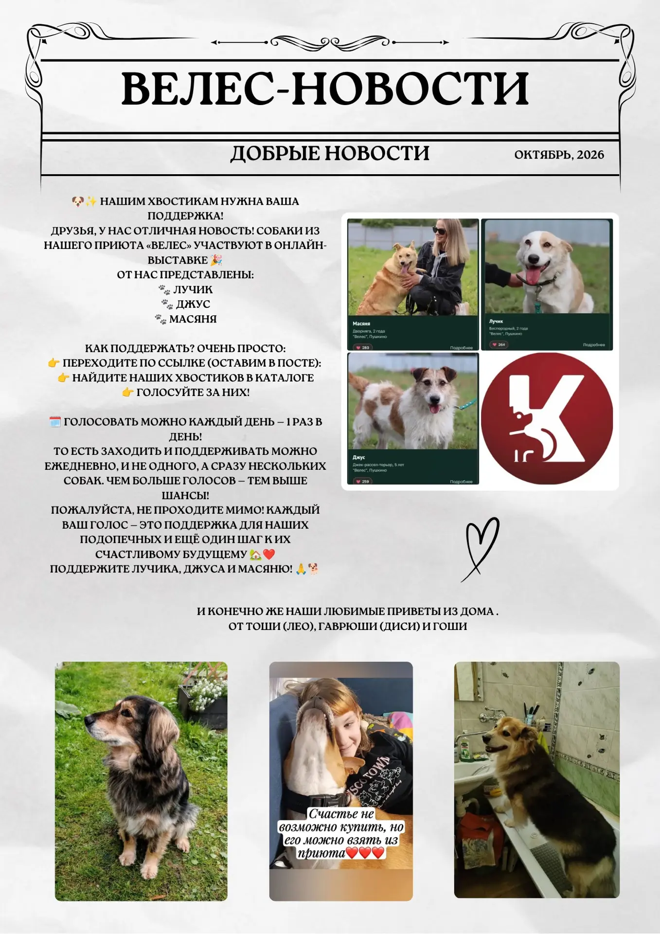 В эфире еженедельная рубрика — новости «Велеса» ♥️🐶