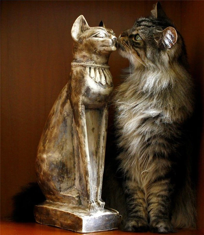 Кошка и статуя — миг единения,