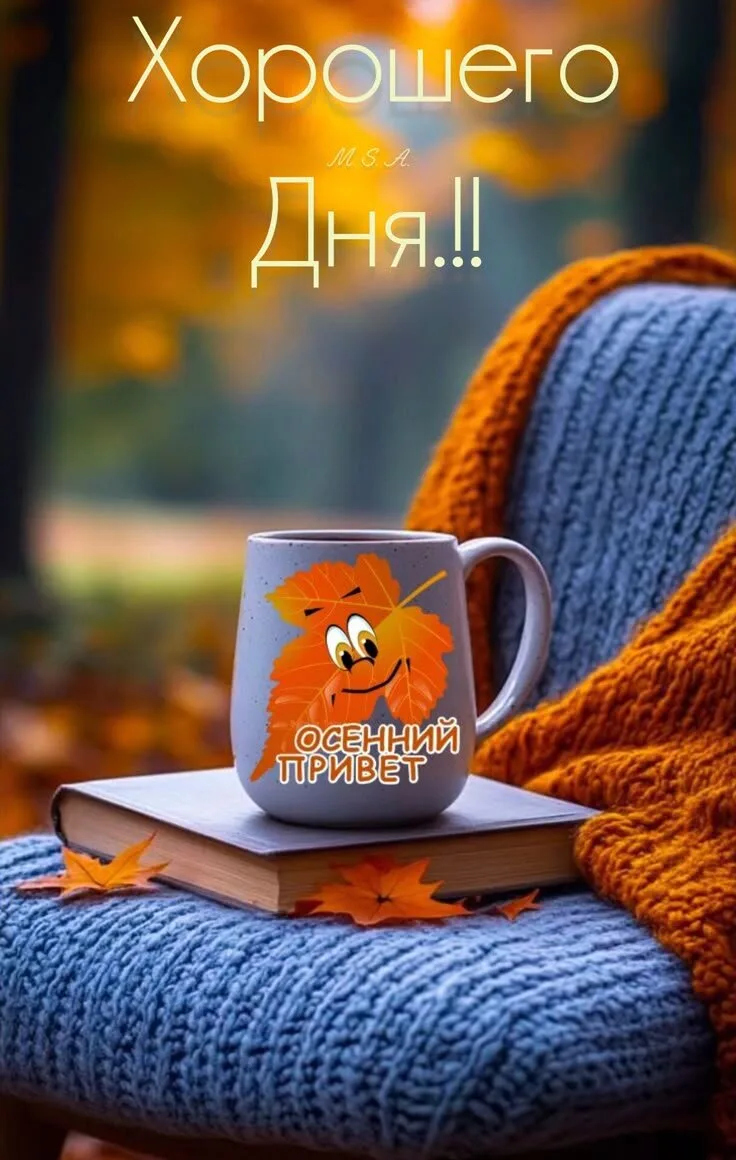 👉 Открытки в MAX – подписывайтесь