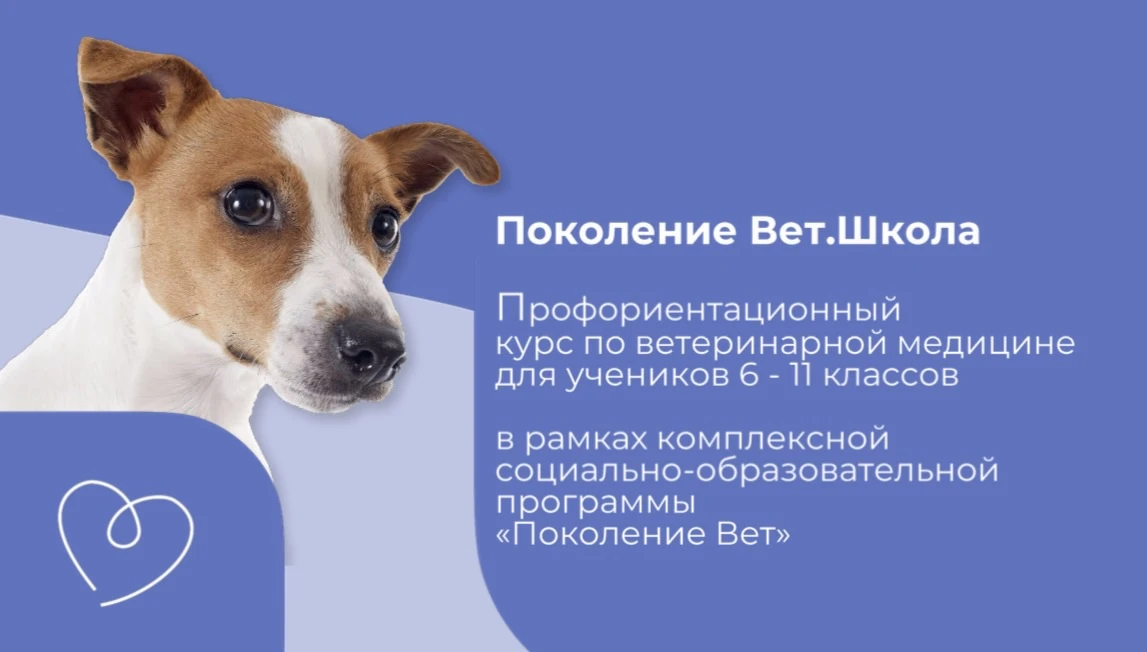 🐾 «Поколение Вет.Школа» — профориентационный курс по ветеринарной медицине