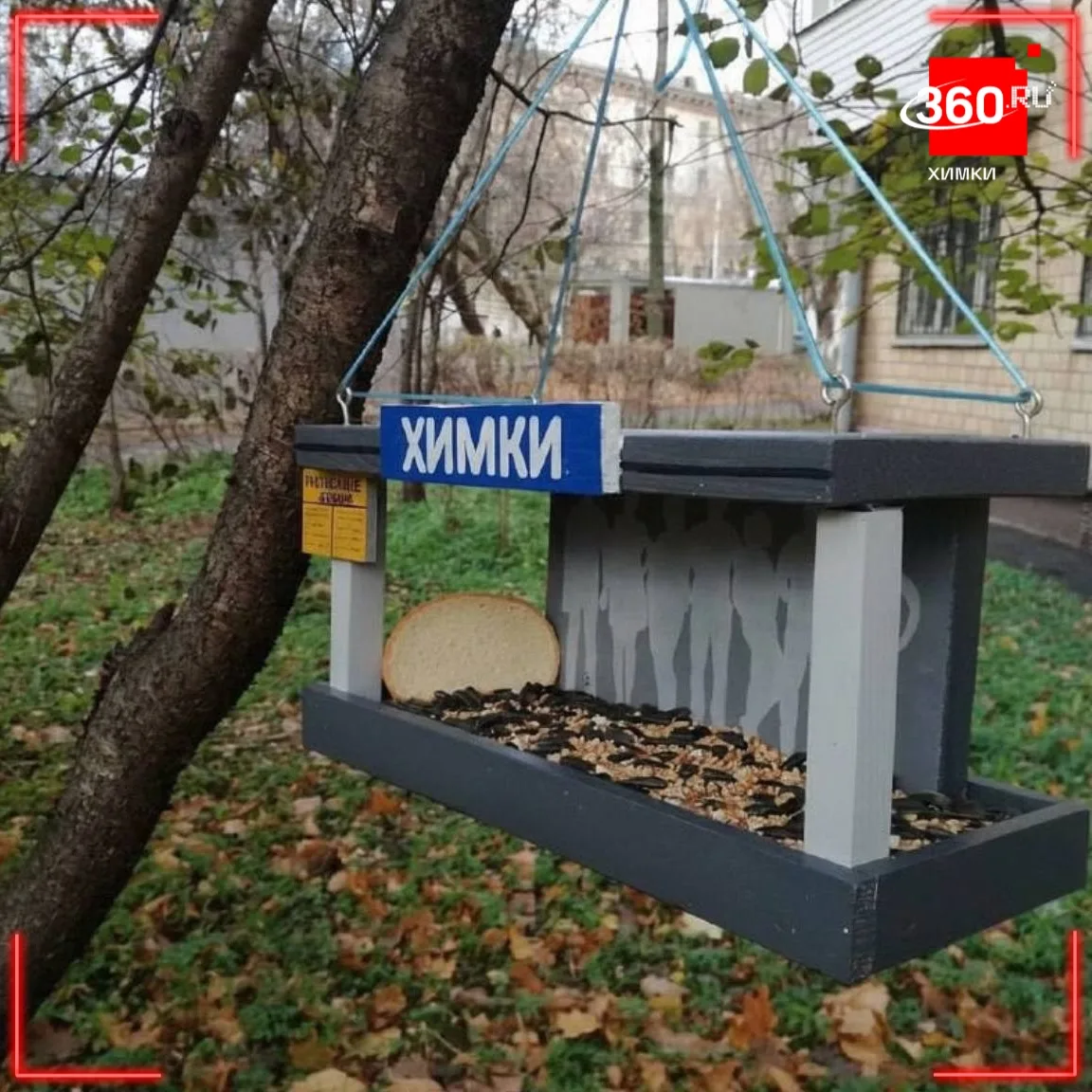 Делимся с вами замечательными осенними кадрами 🐿🍁
