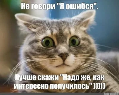 Власти рассчитывали, что сумма добровольных взносов от самозанятых на больничные достиг...