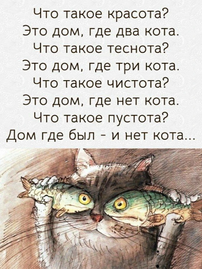 А у нас три десятка котиков. А у вас?