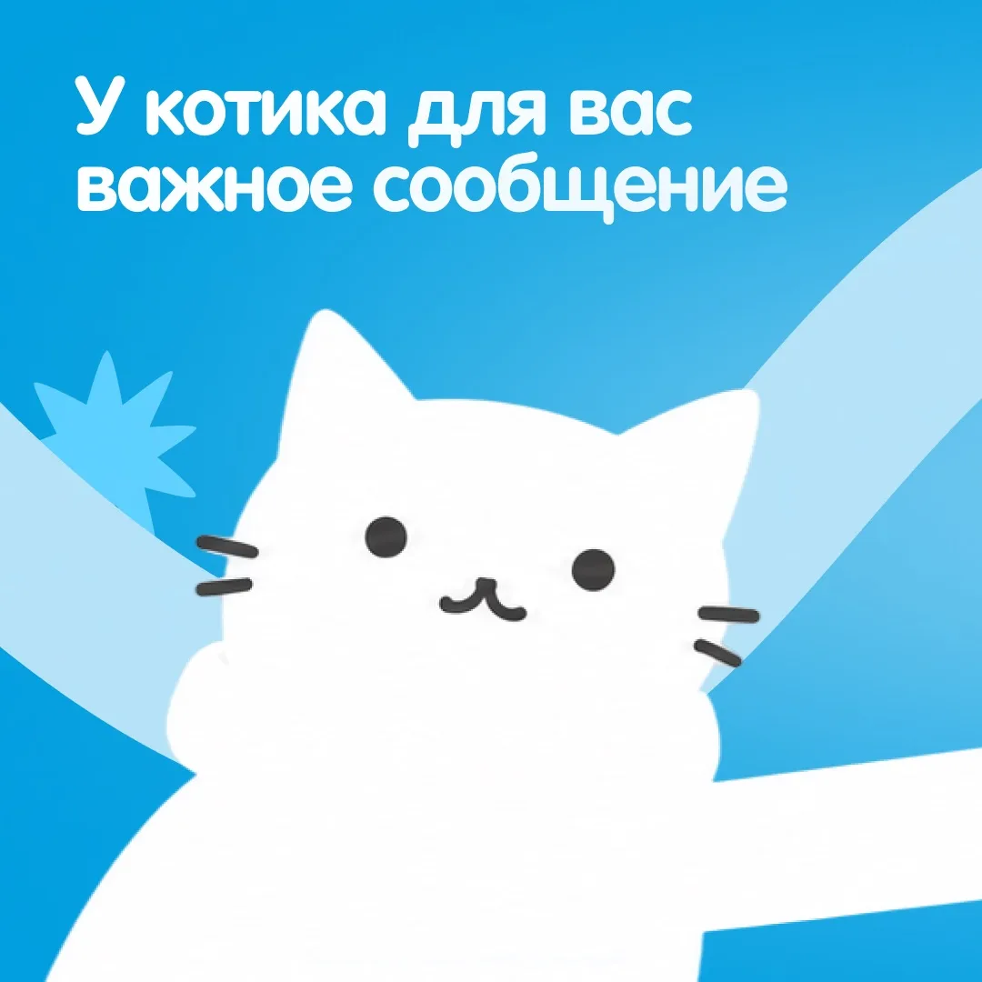 Кажется, котик уже всё решил за вас 😸