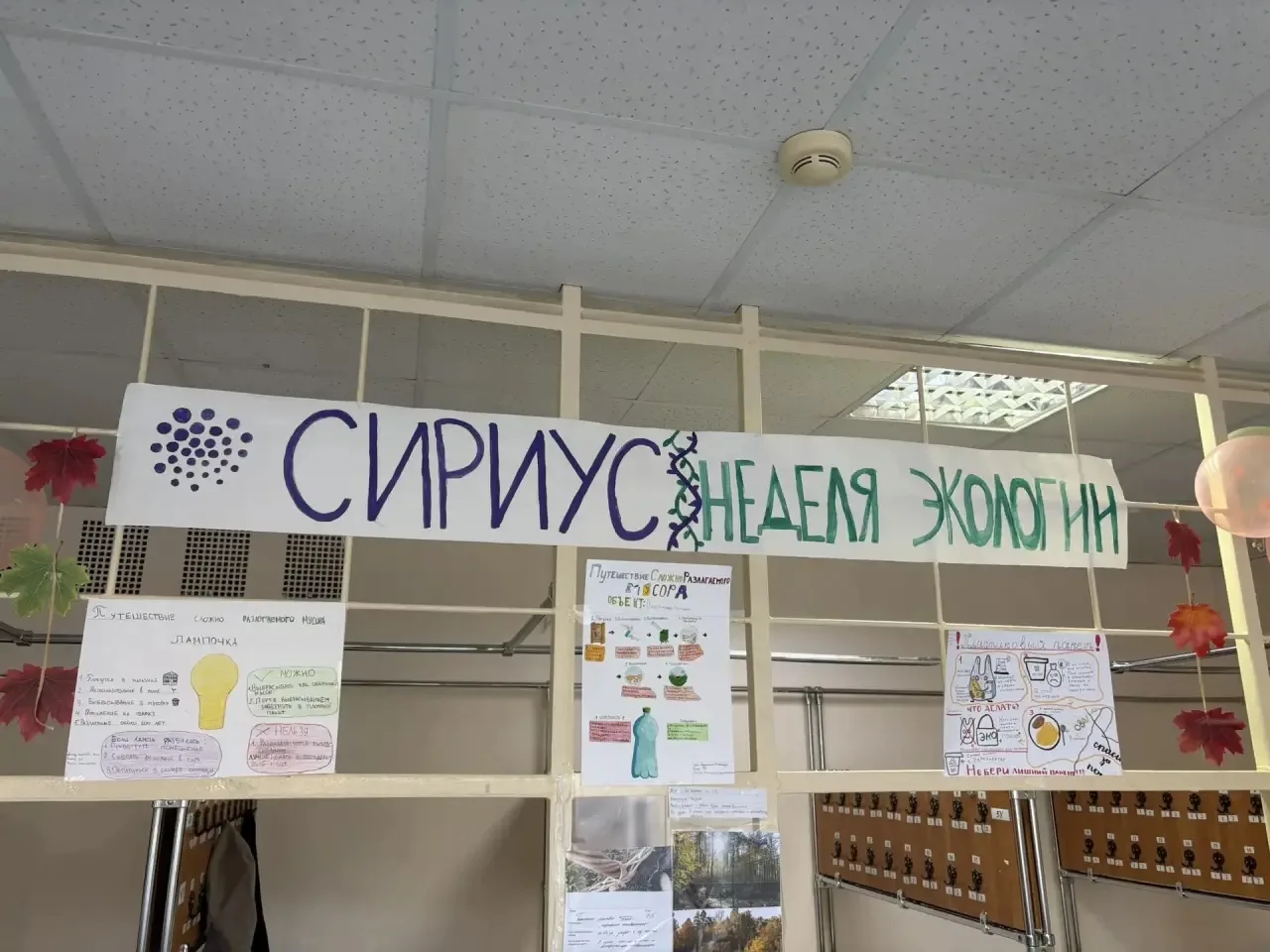 С 28 сентября по 3 октября в лицее проведена Неделя экологии в рамках тематических неде...