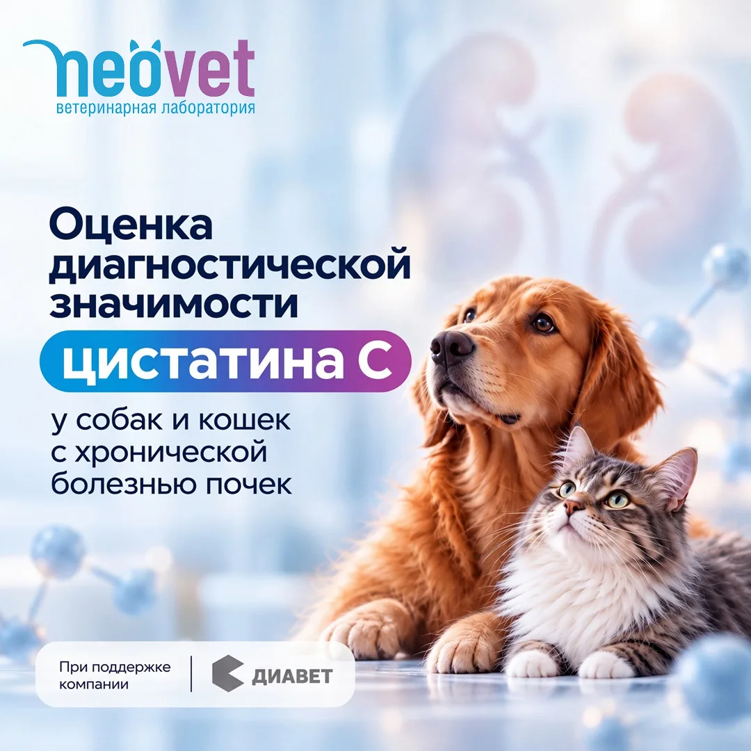 Приглашение к участию в научно-практическом исследовании🔥