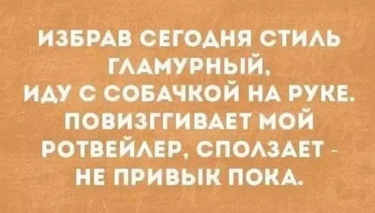 🐕😅