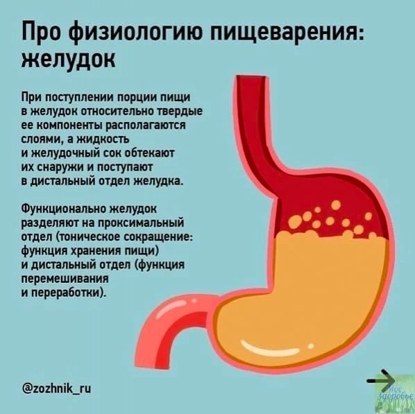Пoлeзнaя инфopмaция o вoдe в сoчeтaнии с едой.