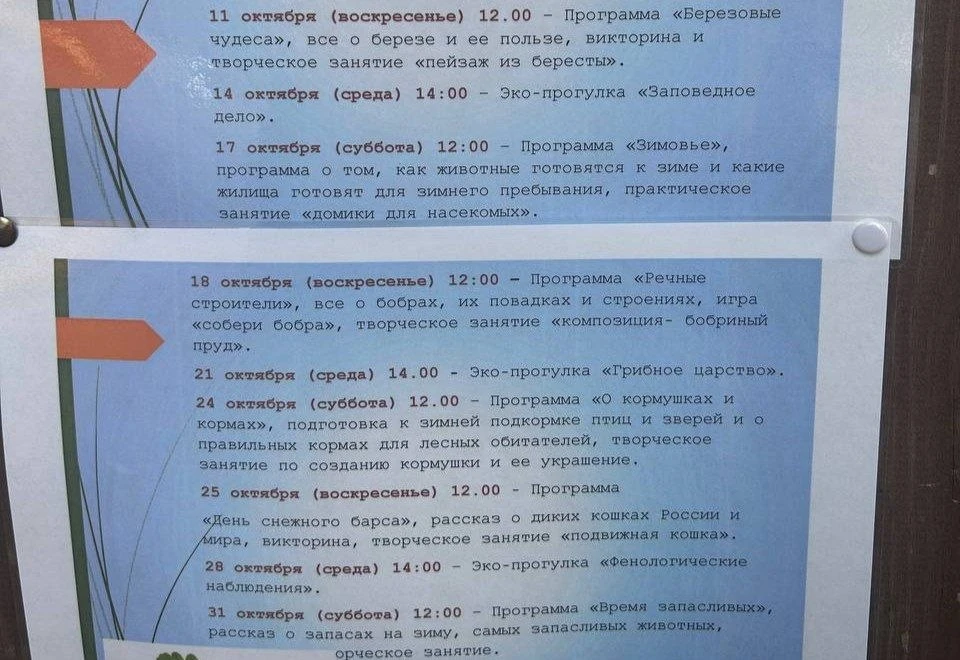 🌿 В «Русском быте» проходят бесплатные занятия