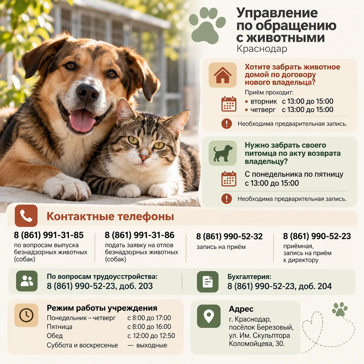🐾 Куда обращаться по вопросам бездомных собак в Краснодаре? Сохраняйте контакты!