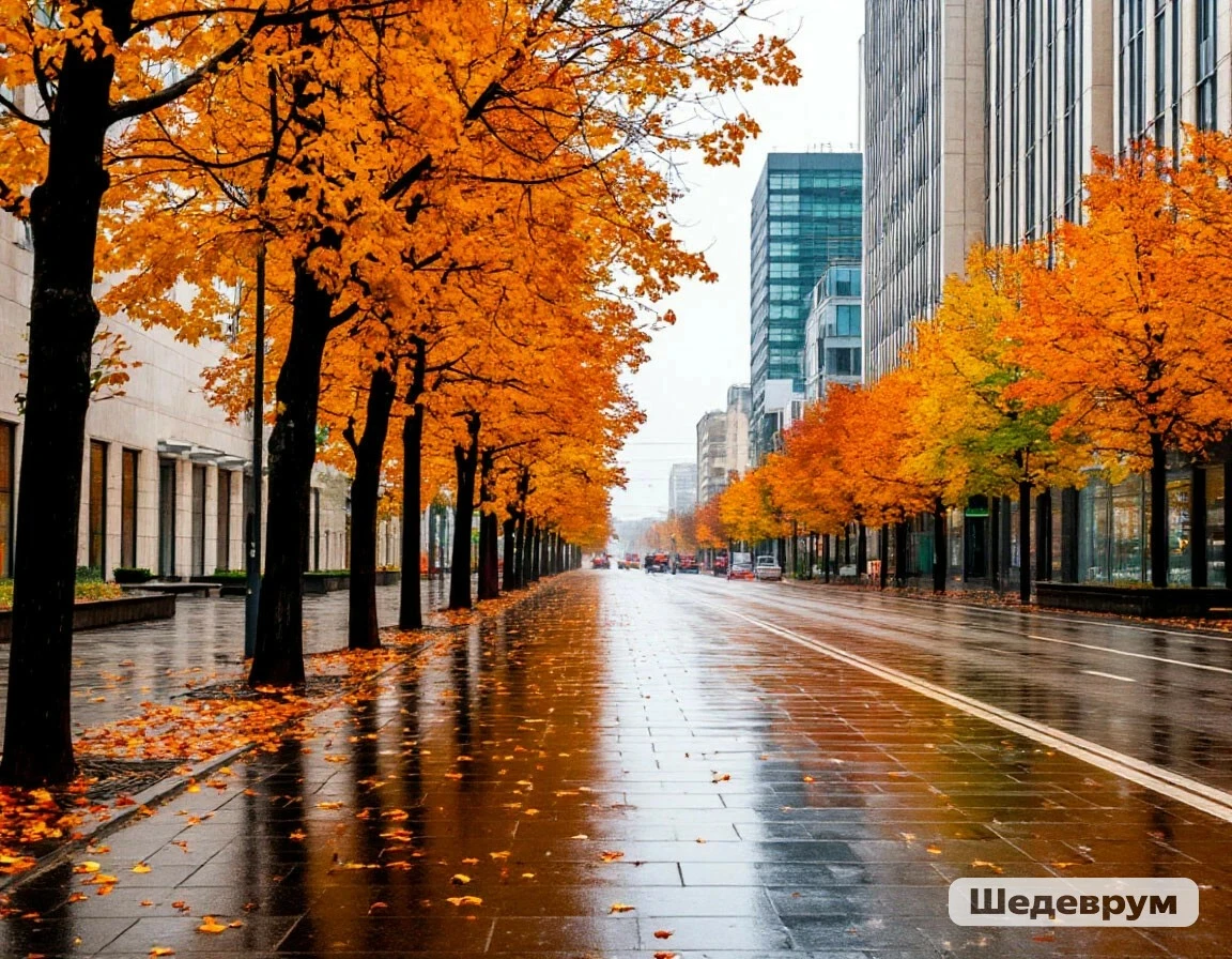 🍁🌧На выходных в Красноярске ожидается прохладная и дождливая погода