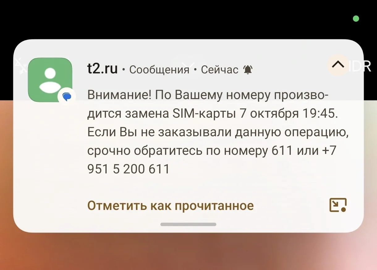 Вчера вечером, прямо перед самым эфиром, мое пространство буквально начало «коротить».