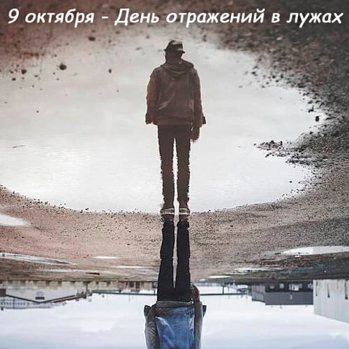 9 октября — День отражения в лужах. Праздник для тех, кто видит больше, чем другие.