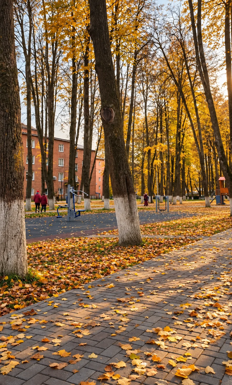 🍂 Осень умеет делать обычные места по-настоящему красивыми. Знакомые дорожки, шорох ли...