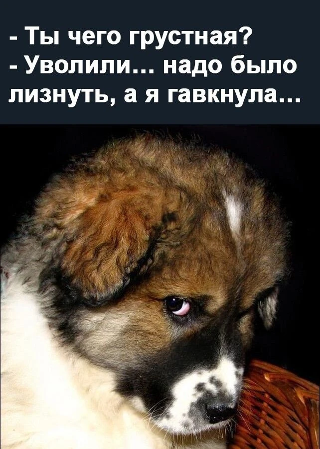 😁😁https://max.ru/channel_Korzink