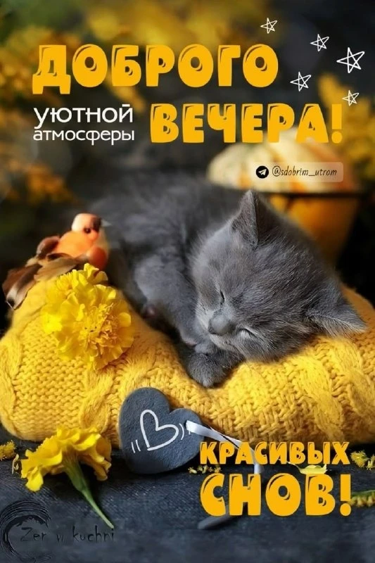 Открытки: подписаться ❤️