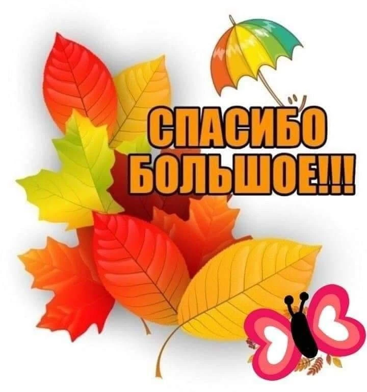 #hyobiжизньвСибири