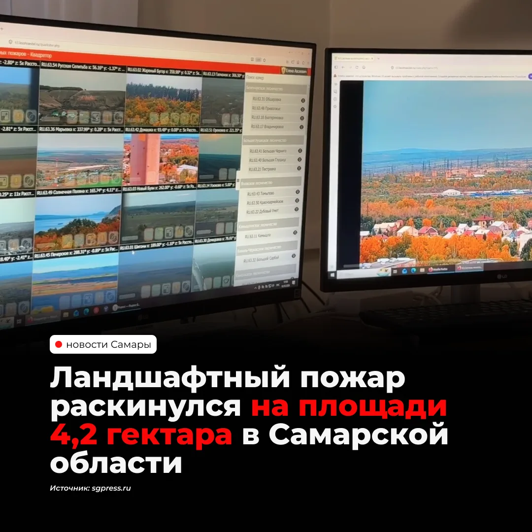 В Самарской области 10 октября потушили ландшафтный пожар на площади 4,2 гектара: на ли...