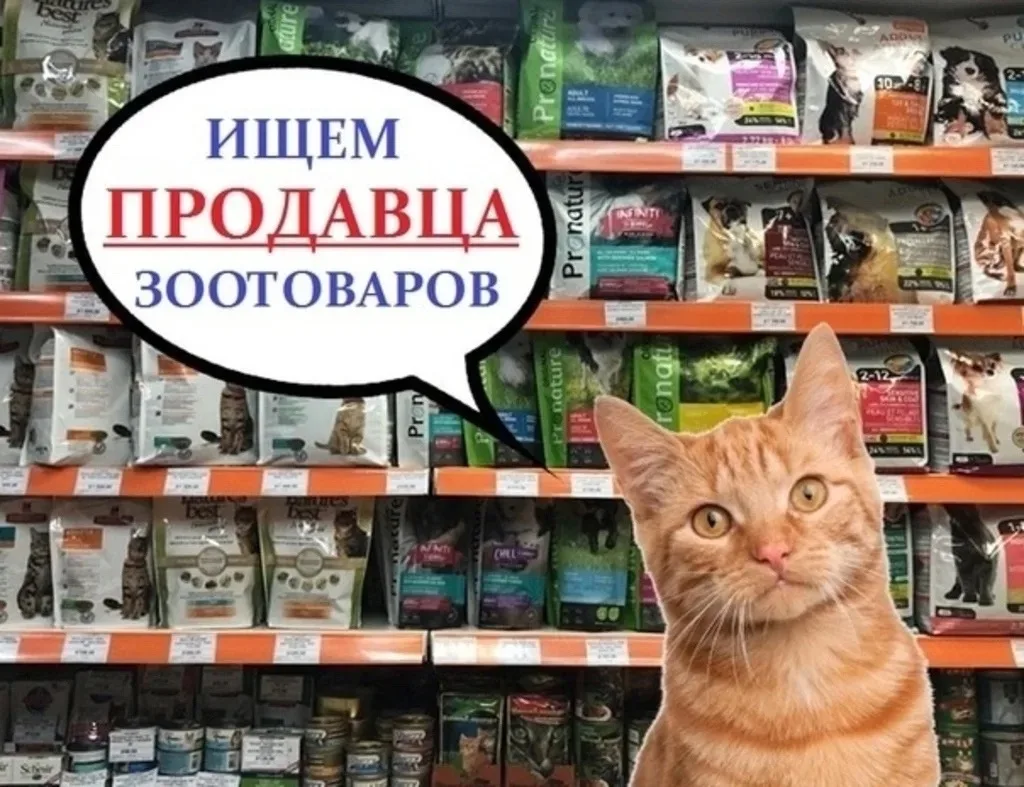 Требуются продавцы в магазин зоотоваров🐶🐱