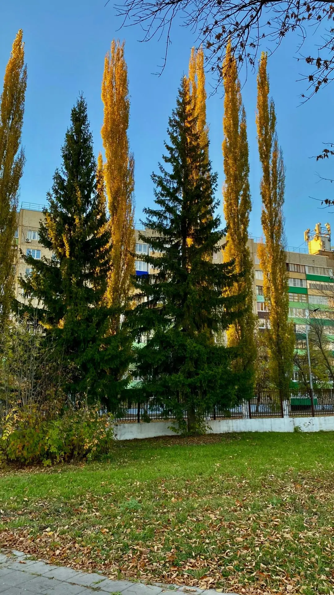 Осенние ишимбайские пейзажи от Венеры З.